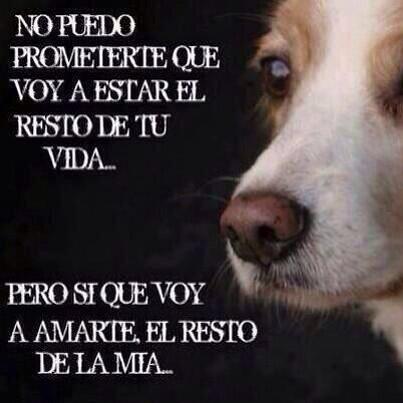 SoyMikeZazueta's tweet photo. Amigo hasta la muerte http://t.co/jbDnEGLg7n
