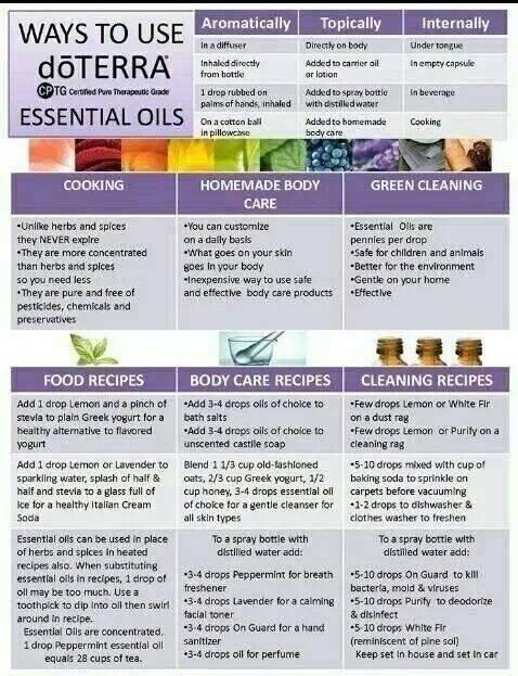 Processor_Food's tweet image. 