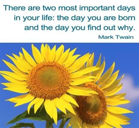 Processor_Food's tweet image. 