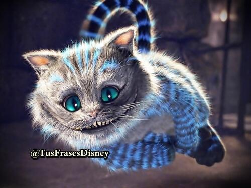 TusFrasesDisney's tweet photo. Yo no estoy loco... Mi realidad es diferente a la suya. http://t.co/VzYOowWcdZ