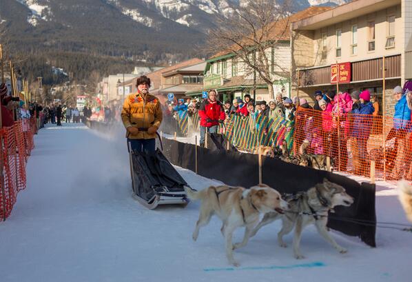TourismCanmore's tweet photo. Canmore Mayor @Borrowman2013 narrowly defeats @RonCaseyMLA in the annual Mayor's Dog Sled Race. #canmore http://t.co/XcqphKRpFt