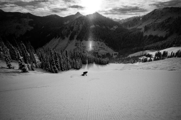 StevensPass's tweet photo. New groomer down the backside! You've got to check the run down Pegasus. #steepandfast http://t.co/2tCK5kkm0m