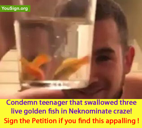 creaturesunited's tweet photo. RT Condemn teenager who swallowed three live golden fish in #Neknomination video Sign Here: http://t.co/jfnfNKZzs4  http://t.co/F4bsrMmqk3