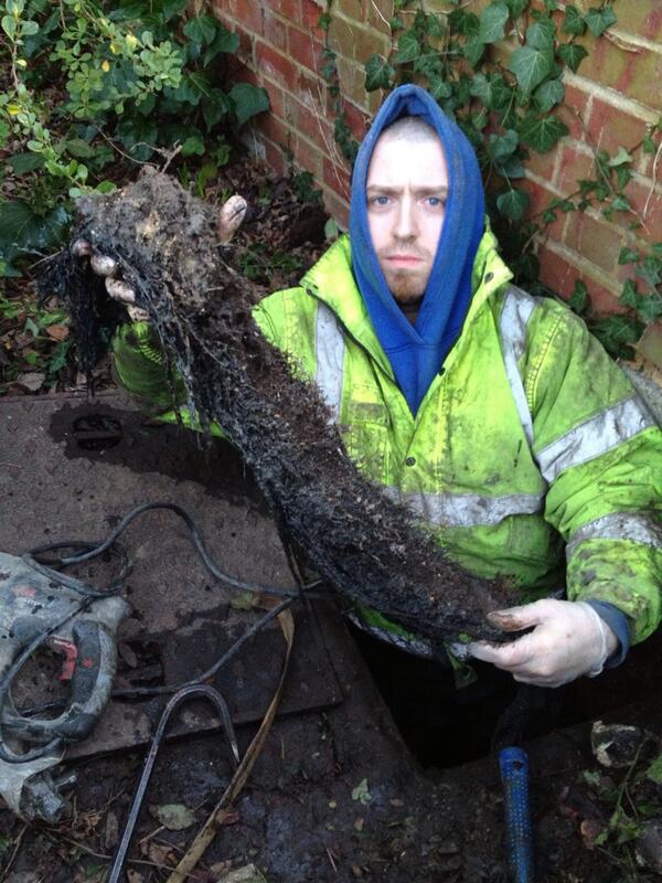 Some of the roots found in a clients pipe work that was causing major blockages now removed and no further problems
