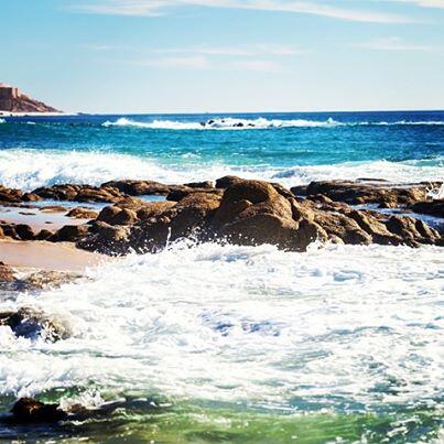 snellrealestate's tweet image. This is what six more weeks of "winter" looks like in #Cabo! SnellRealEstate.com