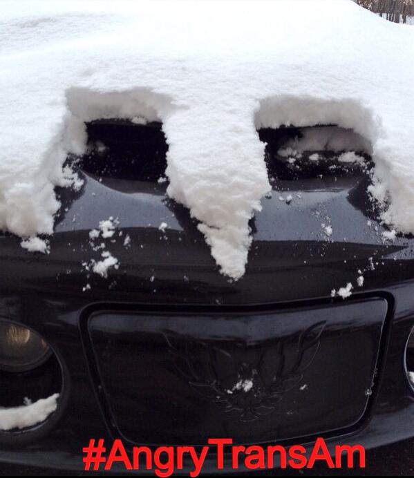 AngryTransAm's tweet image. Retweet if you like my owner's new Custom Cold Air Intake! #HelpMe! #AngryTransAm #ls1Tech