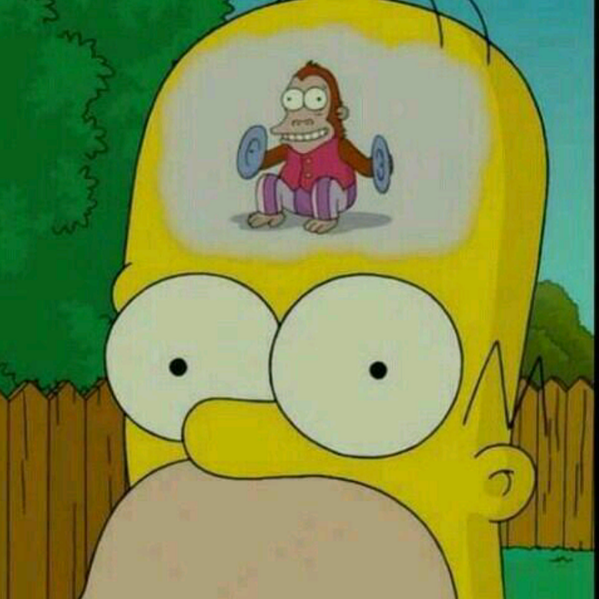 SilviaShtoma's tweet photo. mi situación mañana con el examen de química delante. http://t.co/D9UGjLrwT4