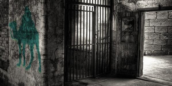 dailydot's tweet photo. Silk Road and the gentrification of cybercrime: http://t.co/4YaGKvbzYi by @desertbunny http://t.co/OQQQsUDeca