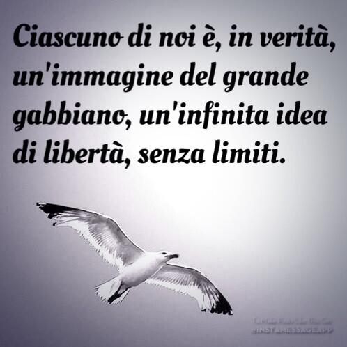 Sofia Cecinini on X: Il gabbiano Jonathan Livingston - #RichardBach  #book #ilgabbianojonathanlivingston  / X