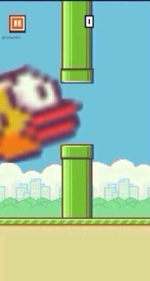 TuiterHits's tweet photo. Así veo Flappy Bird http://t.co/fGsI1rjfFU