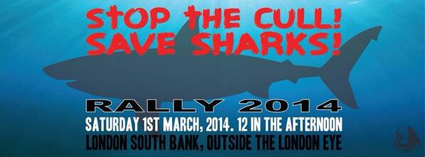 sharkangels's tweet photo. UPDATE! Note date/time! #stopthecull LONDON Rally #EndSharkCull #noWAsharkcull #SaveSharks https://t.co/OhFKSjvgD8 http://t.co/94IonYDbhH