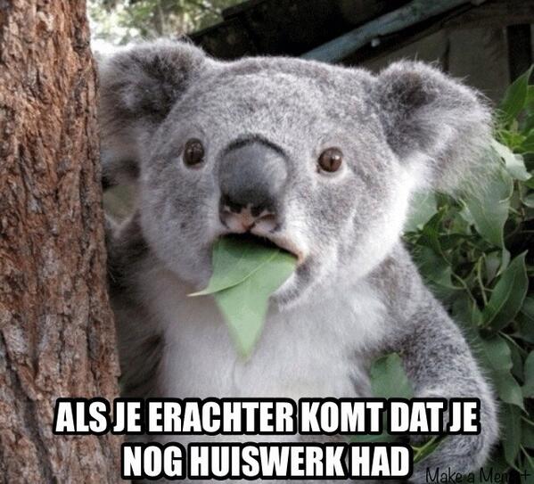 sjonvz's tweet photo. http://t.co/3qdhOVTBqg
