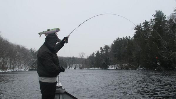 Things are heating up?. ift.tt/1l1z7Fo #trout #flyfishing