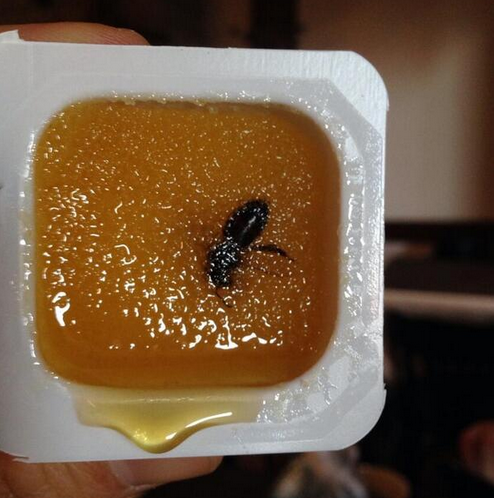 BuzzFeedSports's tweet photo. Photographic Proof That Sochi Is A Godforsaken Hellscape Right Now
http://t.co/qtfaTnV6V5 http://t.co/pSv2DJf15n