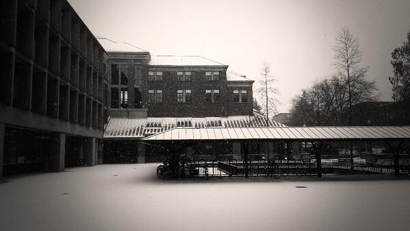 JoshPaulXC's tweet photo. The Winter Warlock has granted @Univ_Of_Oregon a present for the @2014sochi Olympics http://t.co/38ZdLC2gmw