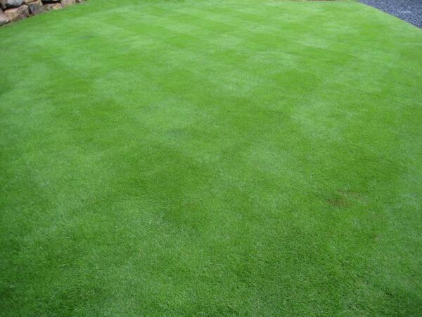 Links Landscaping tweet media