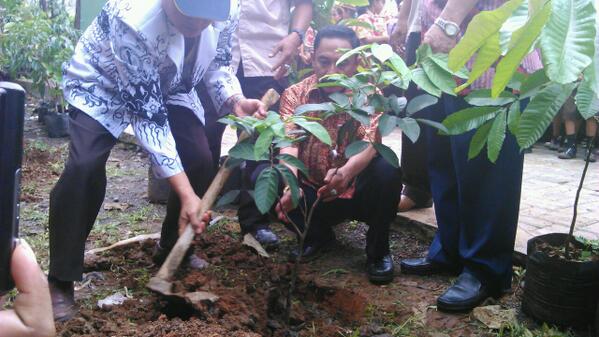 UseSupriadi's tweet photo. @Nur_Mahmudi @herrypansila upt,camat,ksubag,pngwas,kepsek,PGRI,K3s,kwaran &amp; siswa/i cilodong menanam buah2n 1000 phon http://t.co/x3SdPW1Z8O