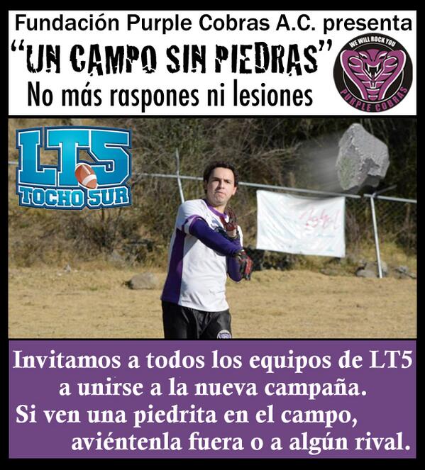 PurpleCobrasMx's tweet photo. Invitamos a todos los equipos de @Tocho5ur a nuestra camapaña "UN CAMPO SIN PIEDRAS". @mirrreyvens @ZubZeroMx http://t.co/Him3j7p42L