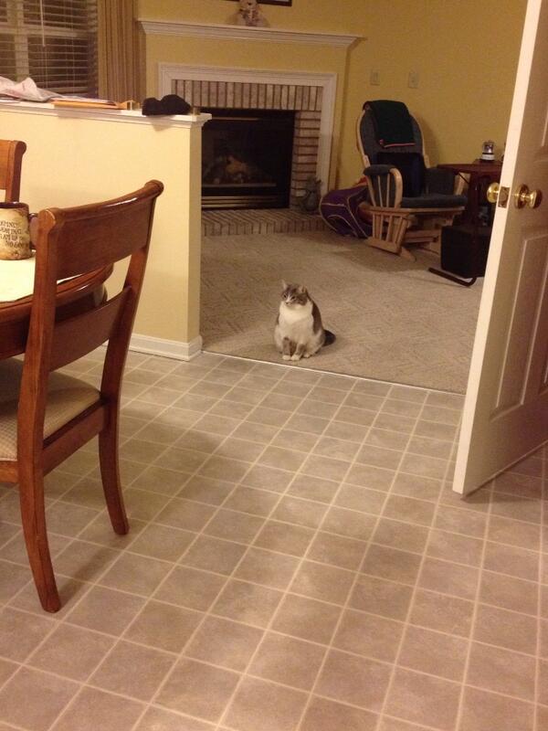 Jaks_AP's tweet photo. She's just sitting there all sad, waiting for someone to play with her http://t.co/s6yVluU7xc