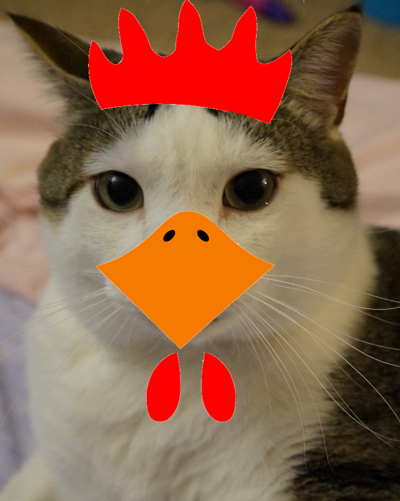 ChickenDotCa's tweet photo. There has been a prowler seen around the chickens. So far, he has eluded us with his clever disguise. Ideas? http://t.co/sAUTI30D2Q