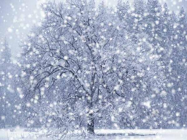 SylvesterPoetry's tweet photo. The snow falls
White blanketed earth
The angels aren't inviting
I think of hot chocolate and you
Homesick

#poetry http://t.co/QTE5PtBlsf