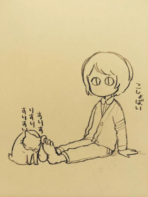 猫のあの足好きは何なんだろう 