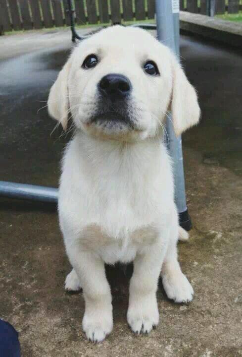 nicsofroj's tweet image. La vida ahi ke vivirla al máximo