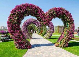 موجود ابوعريش  (@sameilm86) on Twitter photo 