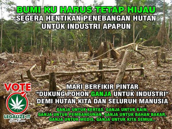 @legalisasiganja @Indonesia_legal #Legalizeit