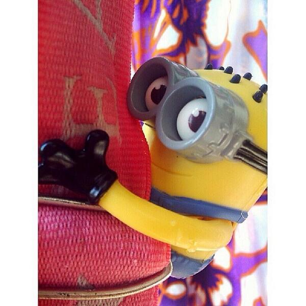 MINlONS's tweet image. ⓒ ☺️✨ Peek-a-Boo! Do the laundry.. 😎 #ikece #friday_code #iphonesia #instago #ninskie2014 #minions