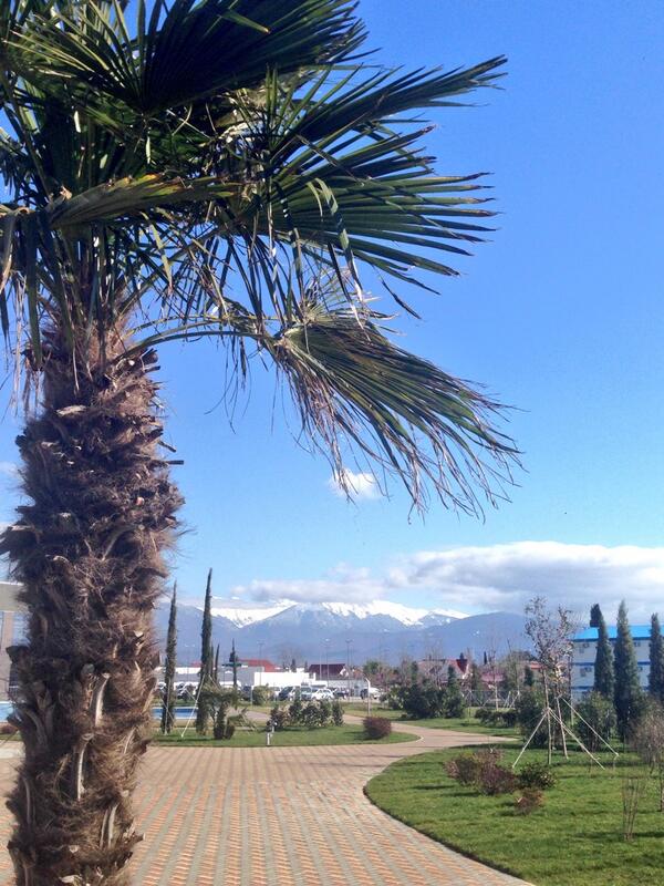 The Sochi Paradox: Palm trees by the sea, snow in the mountains. #Sochi2014