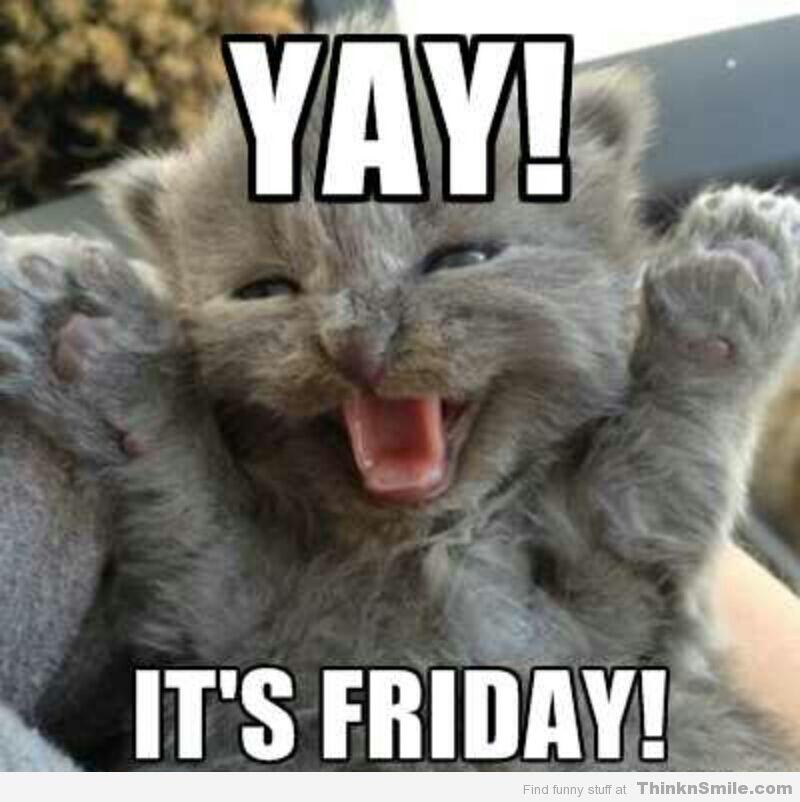 Pets at home on twitter happy friday everyone have a great weekend