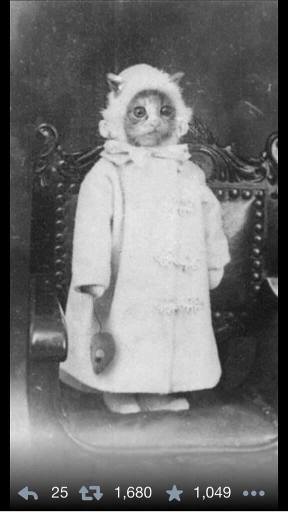 bebaxter's tweet photo. @SusanCalman courtesy of Bob Mortimer... http://t.co/4zGpgoWKEr