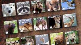 DeMensen's tweet photo. Morgenavond om 20u10 op @een: laatste afl van de #big5vanEuropa  Welke dieren halen de Big5? http://t.co/vOkeKFsj2d http://t.co/NcaH8lBS6g