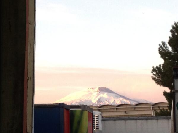 meoca46 tweet picture