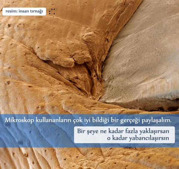 skaraismailoglu's tweet photo. Bir şeye ne kadar fazla yaklaşırsan o kadar yabancılaşırsın. http://t.co/W6nTPyDm38
