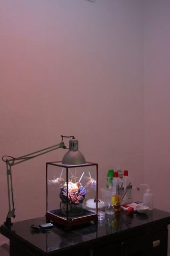 CultureTrip's tweet photo. #FridayArtWork Trevor Yeung's I Could Be a Good Boyfriend is typical of his understated style http://t.co/2dzTMoeM0a http://t.co/VOMOu4aKCq