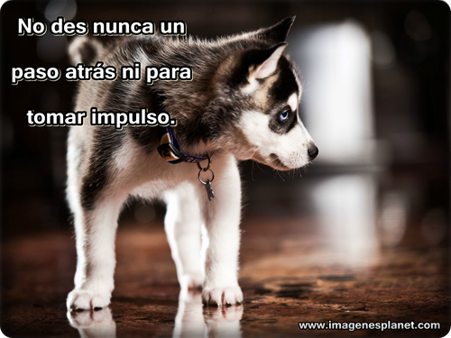 alfonso72's tweet photo. hola bn dia saludos ya es viernes a darle con todo y cerrar la semana con mucho exito..!! http://t.co/Takv2DEz9f