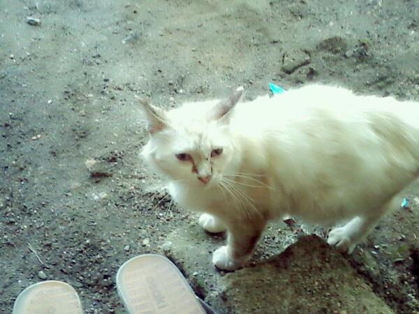 3Elissya's tweet photo. Bosannya takde ke orang nak tweet saya please jadi rakan ke main twiter ke please http://t.co/osZGvBiaPL