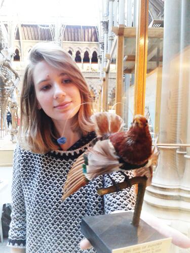 morethanadodo's tweet photo. Putting the Bird of Paradise back into biodiversity! Nicola returns specimens to the biodiversity display #reopening http://t.co/oXB3tD8ZKL