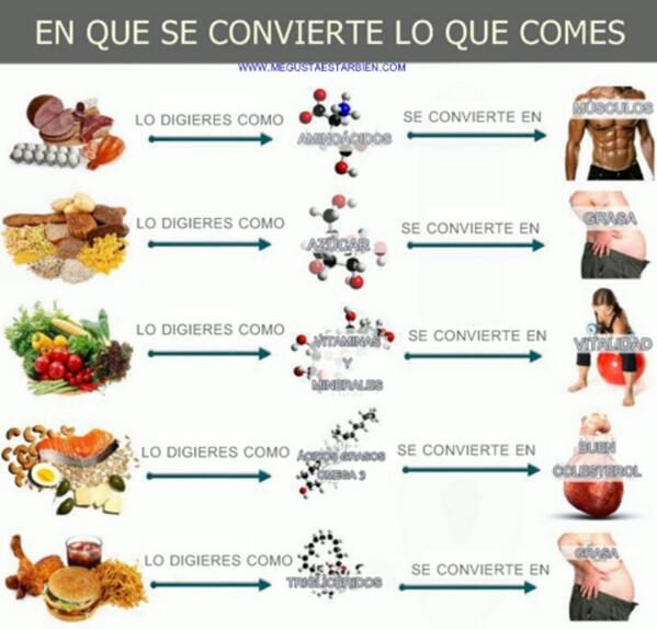 Francisfitness's tweet photo. En que se convierte lo que comes http://t.co/lgsnVmzs8d
