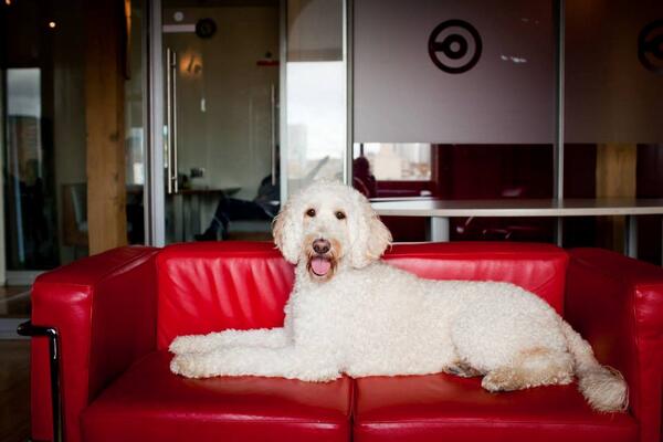 CapitalC's tweet photo. @IcecreamGenius True. But it IS an appropriate thing to call Captain Scarlett: http://t.co/hQu9dCRWj5