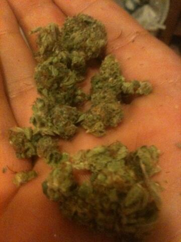 UnitBlue420's tweet image. 