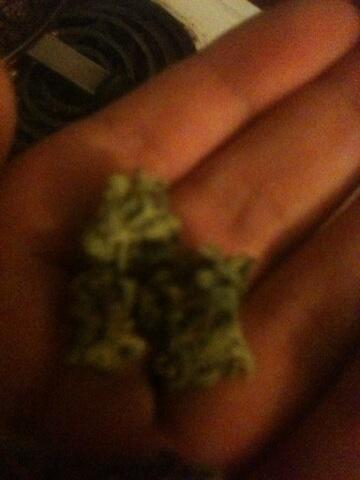 UnitBlue420's tweet image. 