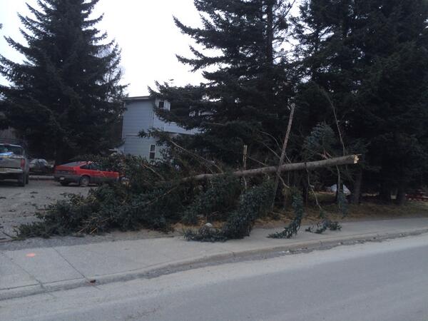 Homer Tribune (@homertribune) on Twitter photo 