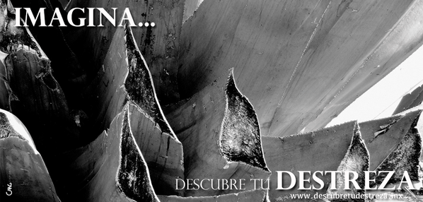 TuDestreza's tweet photo. El momento de Descubrir tu Destreza cada vez está más cerca. ¿Ya descubriste de qué se trata? #DescubreTuDestreza http://t.co/rqE6ta6A6v