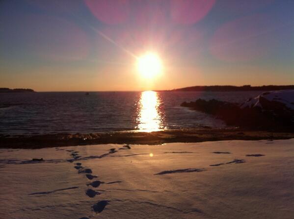 Jill Sample tweet media