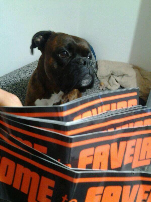 welcometofavela's tweet photo. #welcometofavelas #boxer http://t.co/GuAkkRfHIR