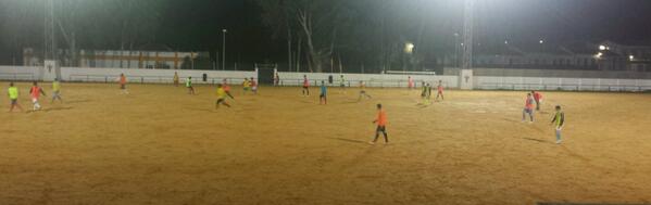 cd.ALOSNO tweet media