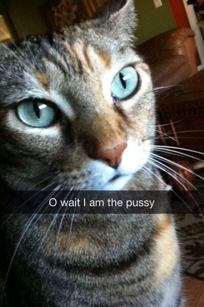shelbeetullis9's tweet photo. http://t.co/labxrDPDPB